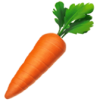 carrot carrot
